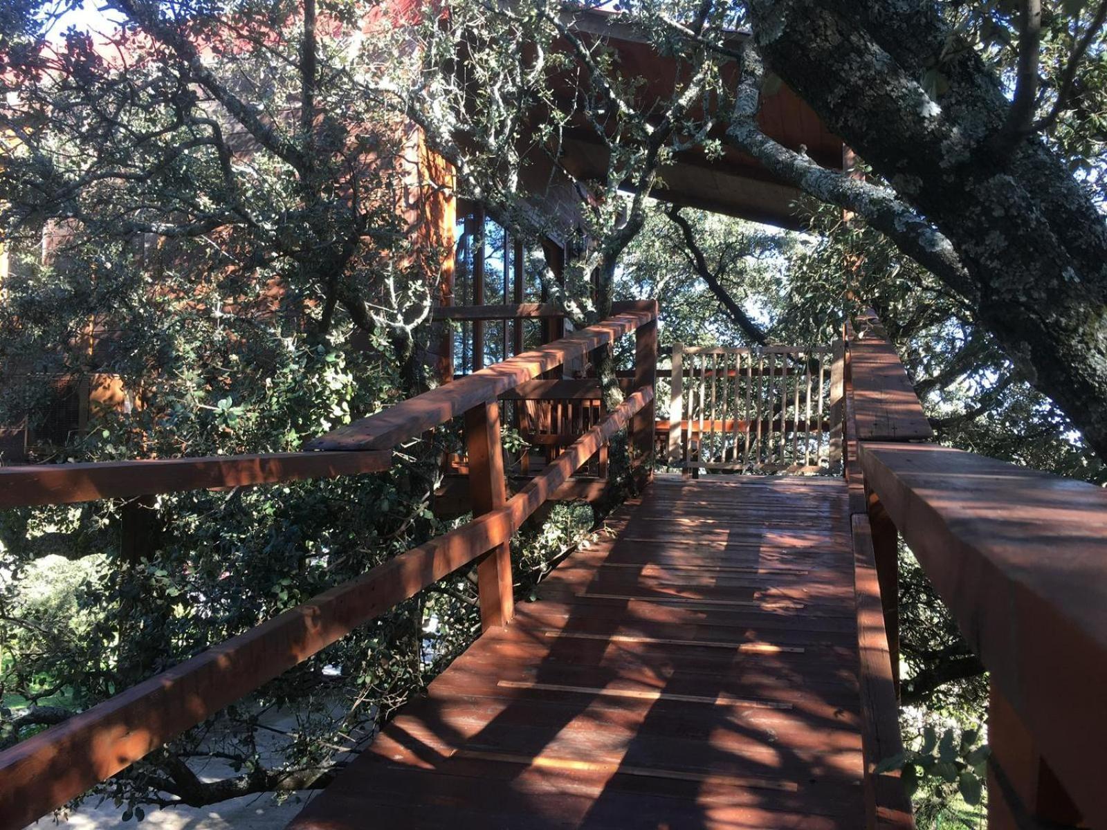 Cabana El Valle Pedroso de Acim エクステリア 写真